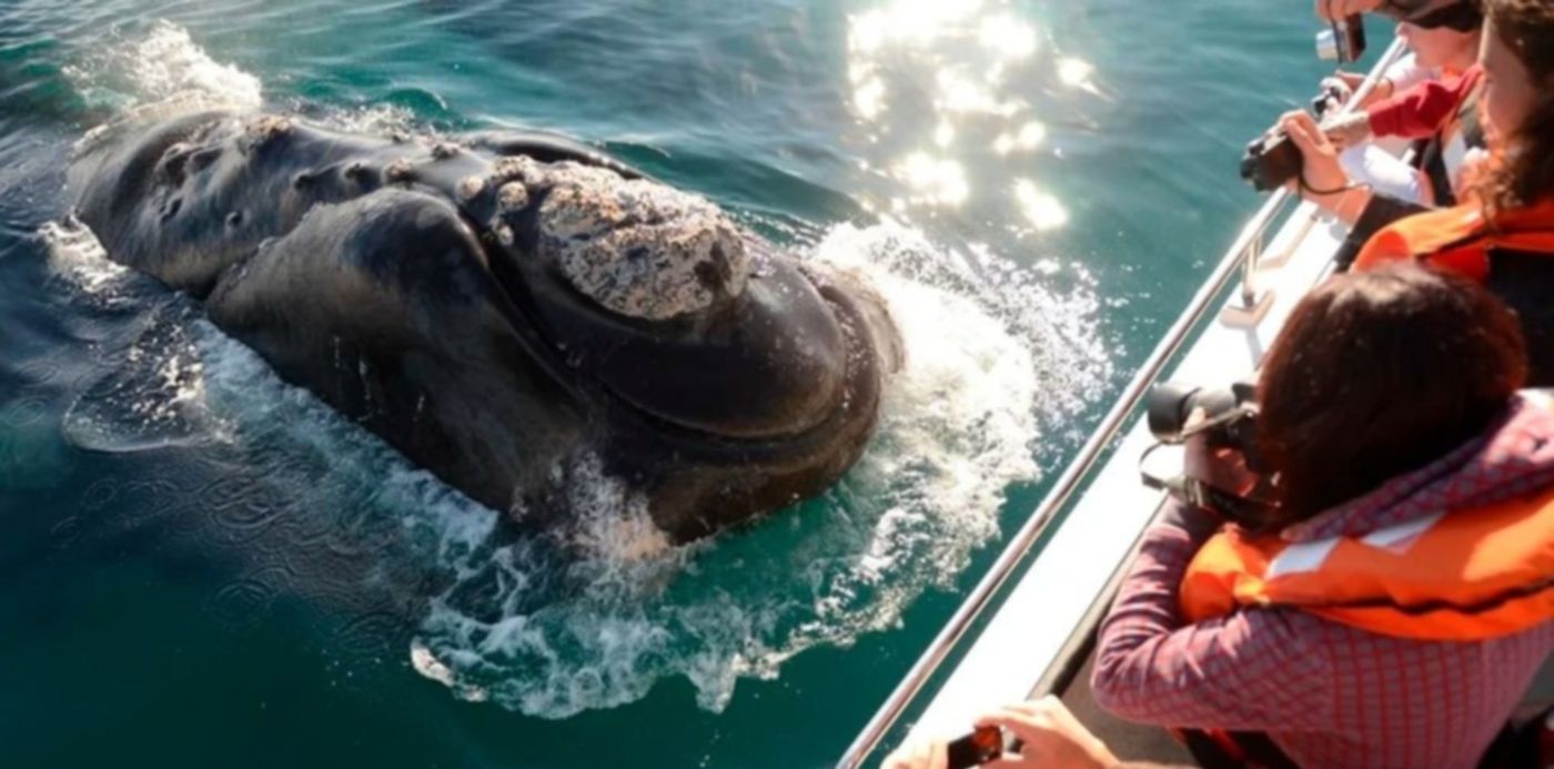 1662828054326.jpg?x= 2&y=0&width=992&height=496&rotate=0&scaleX=1&scaleY=1&ow=992&oh=661&&cw=1920&ch=950