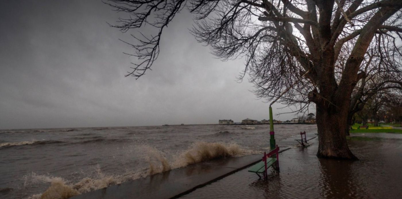 1549930470762.jpg?scaleX=1&oh=994&width=1488&height=744&rotate=0&ow=1500&x=8&y=141&scaleY=1&&cw=1920&ch=950