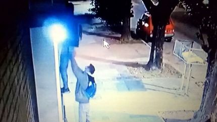VIDEO: Trepó el frente de una casa de El Mondongo, arrancó una cámara y huyó