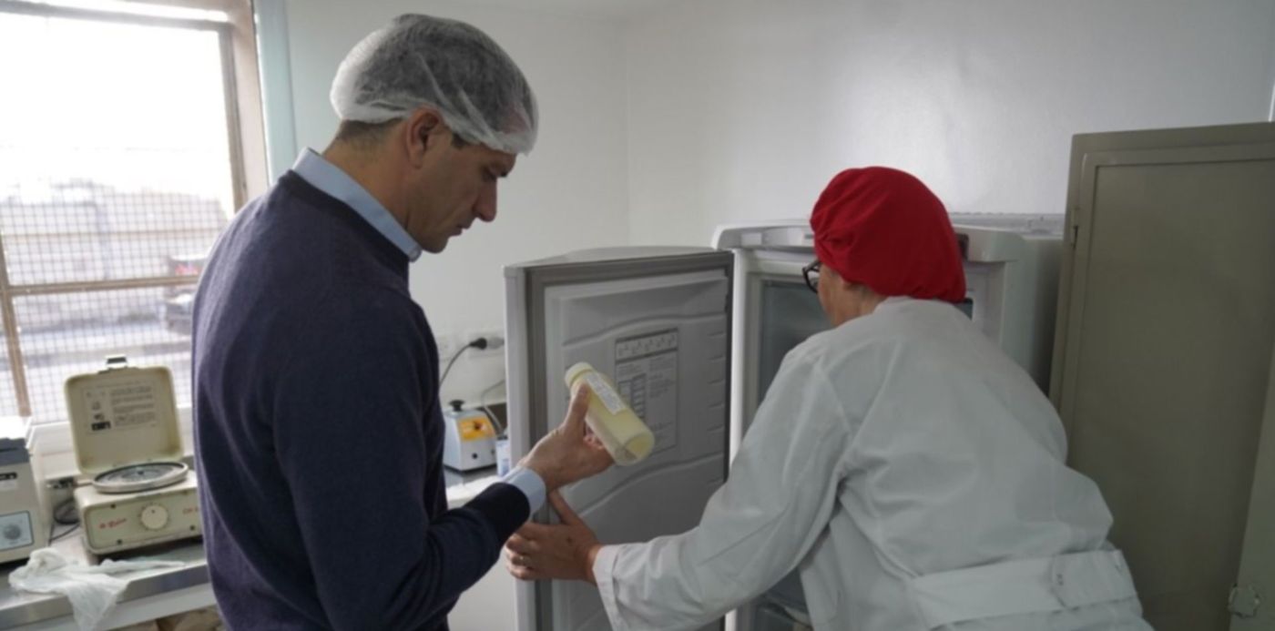 1561498812453.jpeg?rotate=0&scaleY=1&ow=1280&y=14&height=636&scaleX=1&oh=853&x=3&width=1271&&cw=1920&ch=950