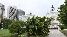 el temporal afecto a la mitad de la ciudad de la plata el temporal afecto a la mitad de la ciudad de la plata