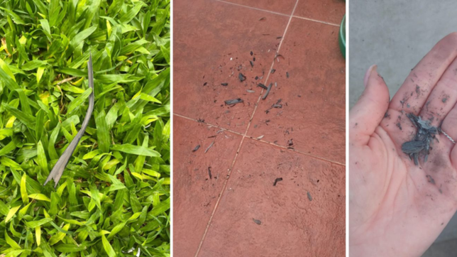 caen cenizas en la plata por el impresionante incendio en la reserva de punta lara