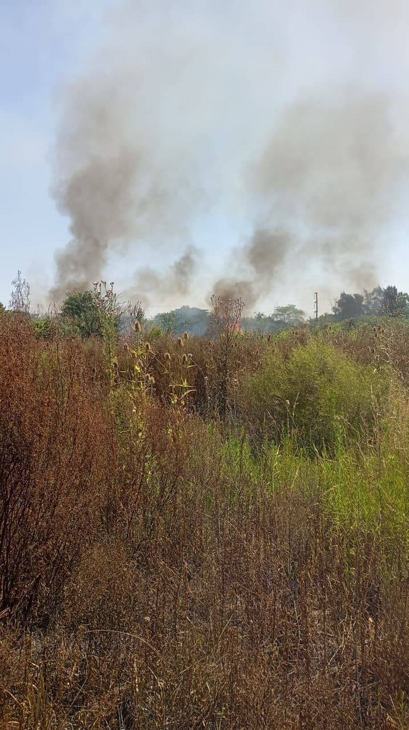 As&iacute; est&aacute; la zona del incendio en San Carlos