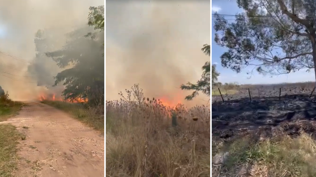un voraz incendio en un campo de la plata causo temor entre los vecinos