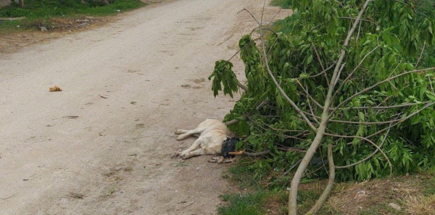 1666992443197.jpg?x=10&y=210&width=1265&height=633&rotate=0&scaleX=1&scaleY=1&ow=1280&oh=883&&cw=1920&ch=950