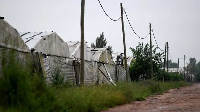 ladrones a caballo asaltaron a una familia en las afueras de la plata