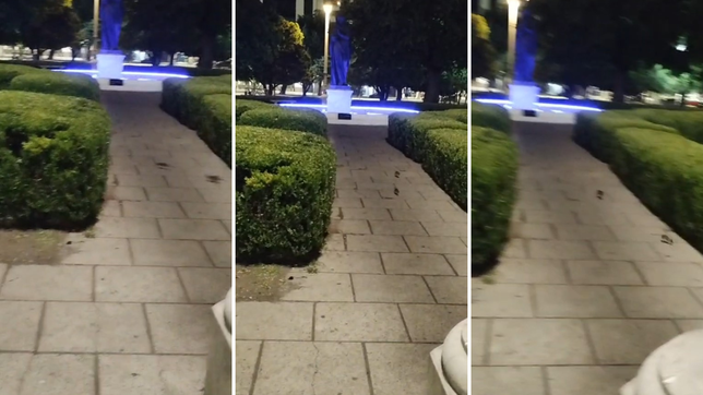 grabaron a dos ratas jugando en plaza moreno en pleno brote de hantavirus