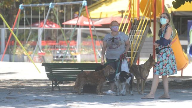 humedo, con sol y maxima de 23°c: asi termina el fin de semana en la plata
