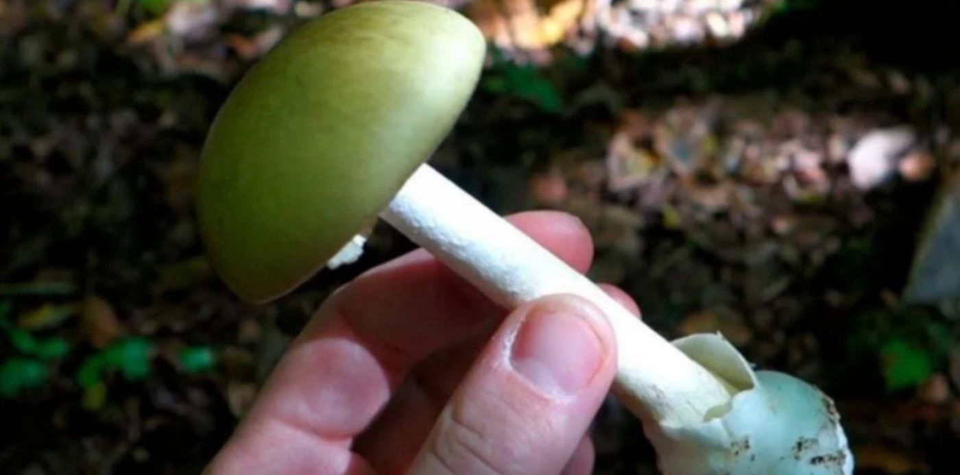 1580607775755.jpg?x=12&y=2&rotate=0&oh=714&width=1248&height=624&scaleX=1&scaleY=1&ow=1265&&cw=1920&ch=950