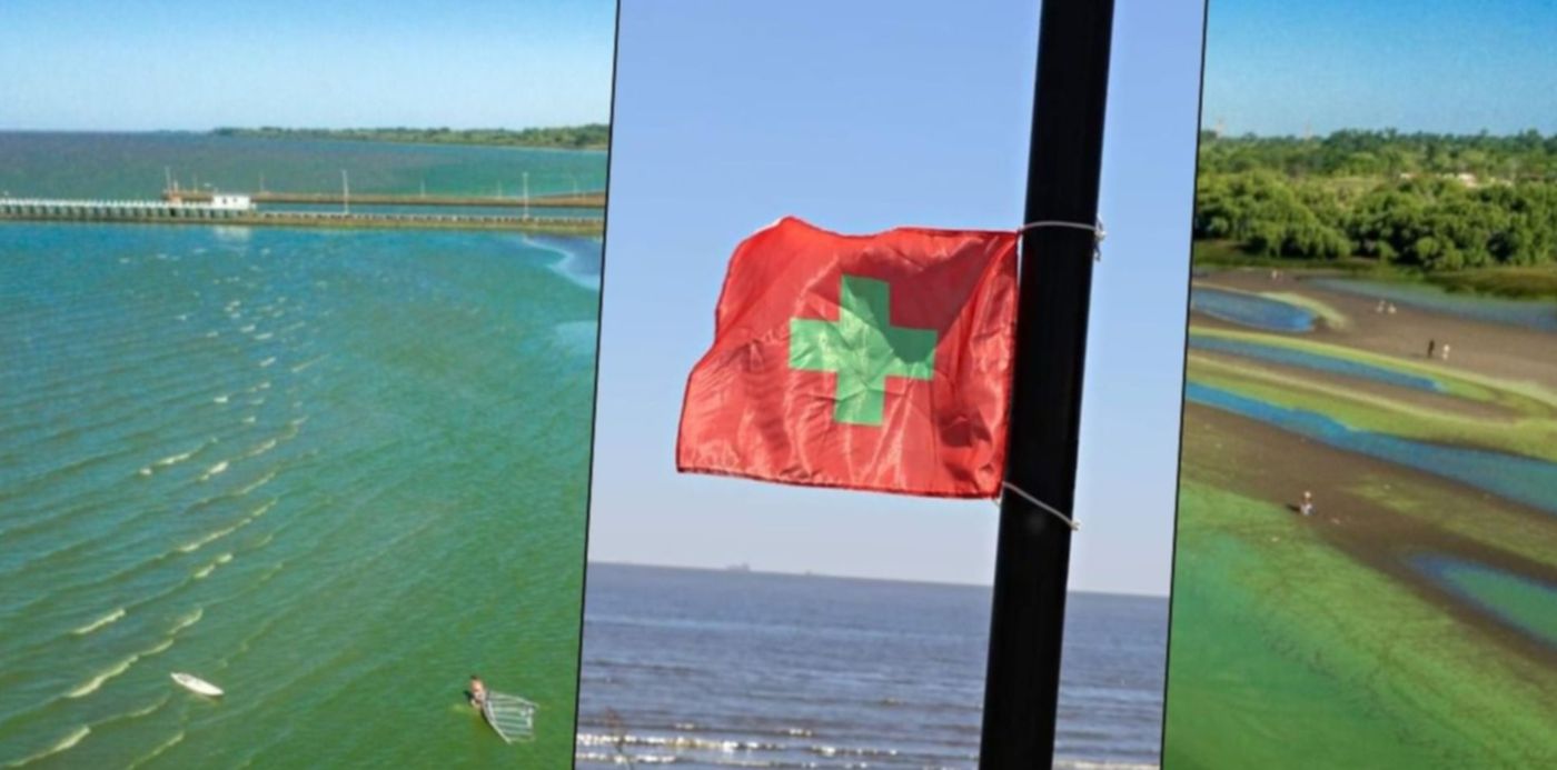 bandera cianobacterias