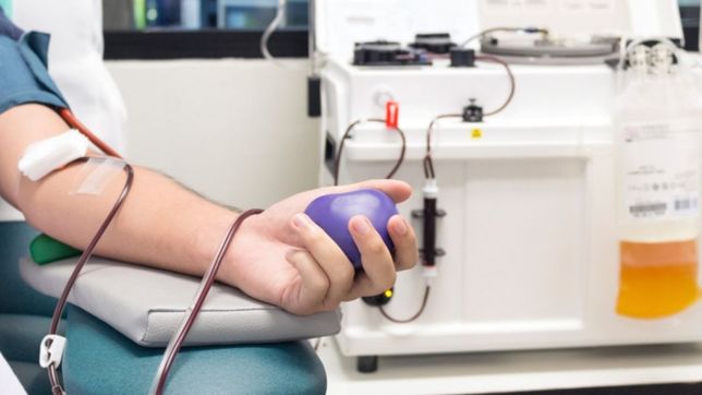 donar plasma en primera persona: una hora de tu vida puede salvar la de otros