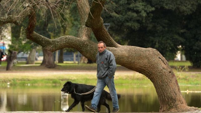 nublado y fresco, asi va a seguir el clima en la plata durante la semana