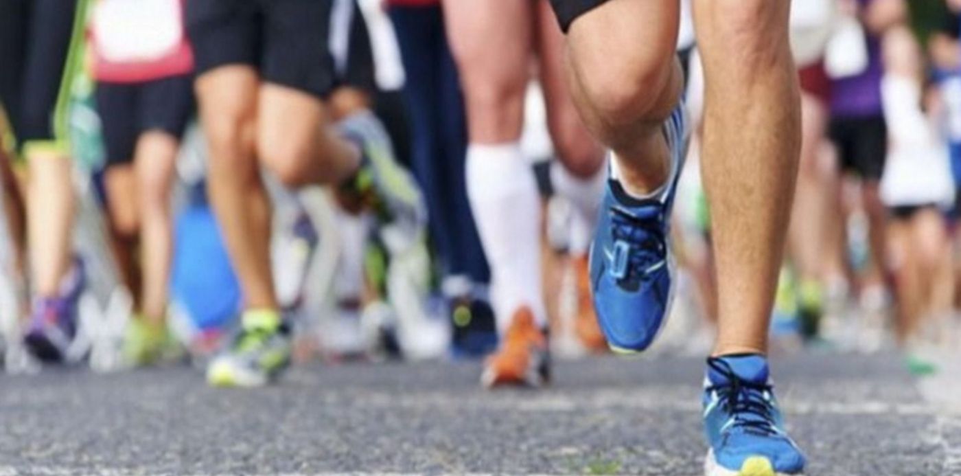 1568220008226.jpeg?x=13&width=1457&scaleY=1&ow=1500&y=2&height=729&rotate=0&scaleX=1&oh=742&&cw=1920&ch=950