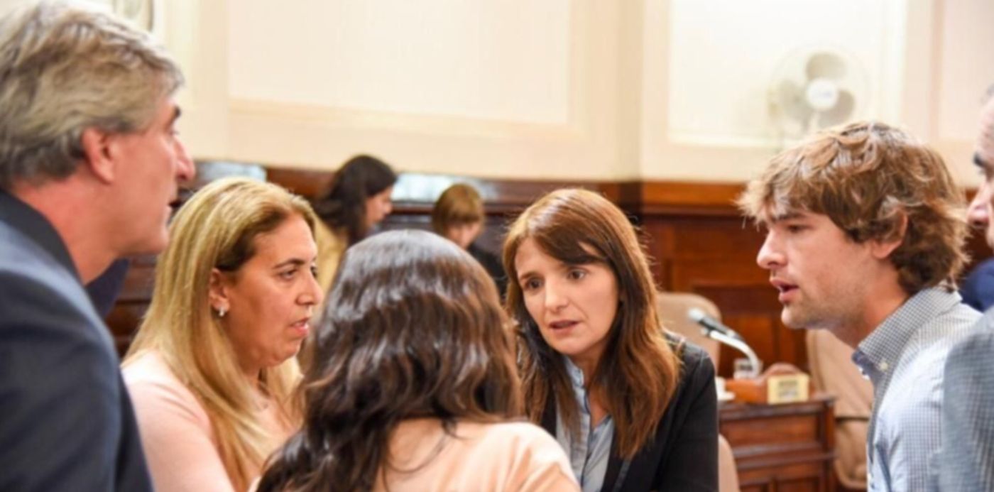 1556121532682.jpeg?width=1008&rotate=0&scaleY=1&ow=1024&oh=683&x=7&y=52&height=504&scaleX=1&&cw=1920&ch=950