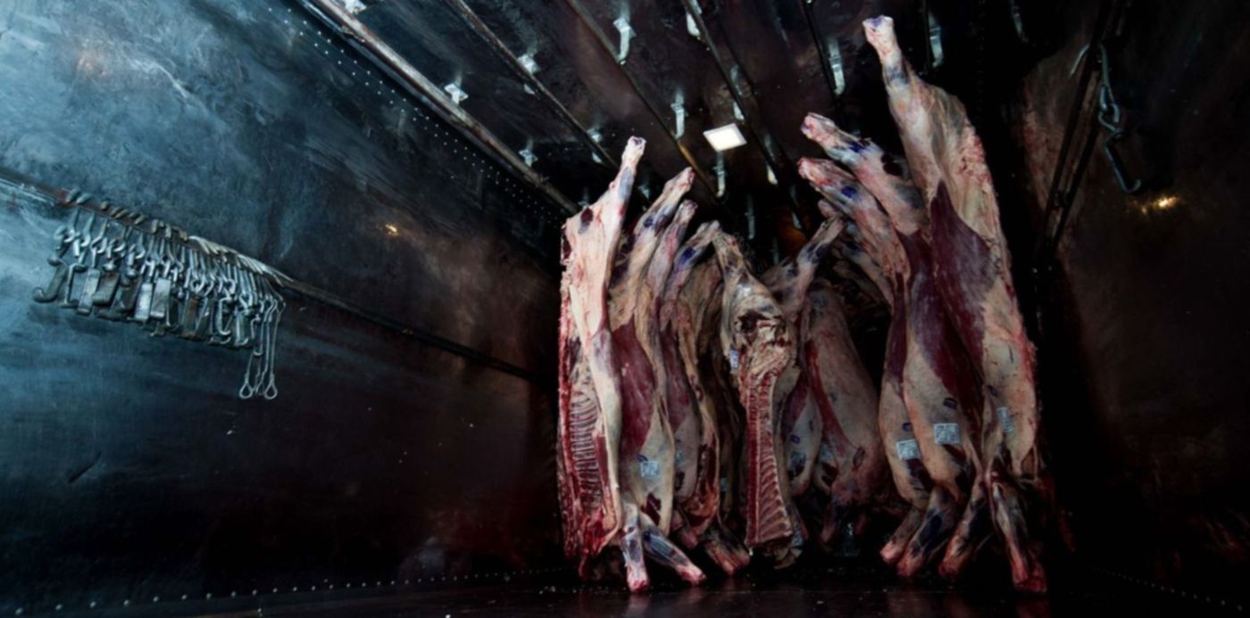 1622224725903.jpg?x=10&y=117&width=1473&height=736&rotate=0&scaleX=1&scaleY=1&ow=1500&oh=998&&cw=1920&ch=950