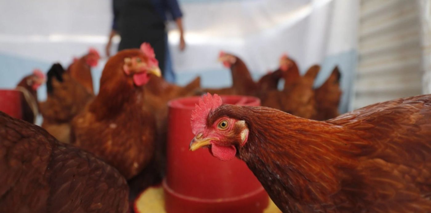 1677156133522.jpg?x=2&y=200&width=1496&height=748&rotate=0&scaleX=1&scaleY=1&ow=1500&oh=1000&&cw=1920&ch=950