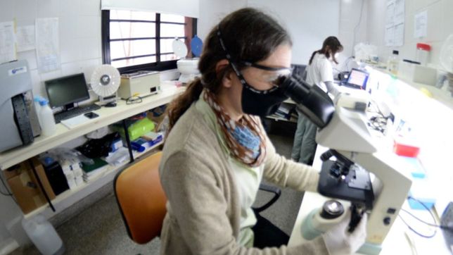 estudian la transmisibilidad de una nueva version de la cepa omicron de coronavirus