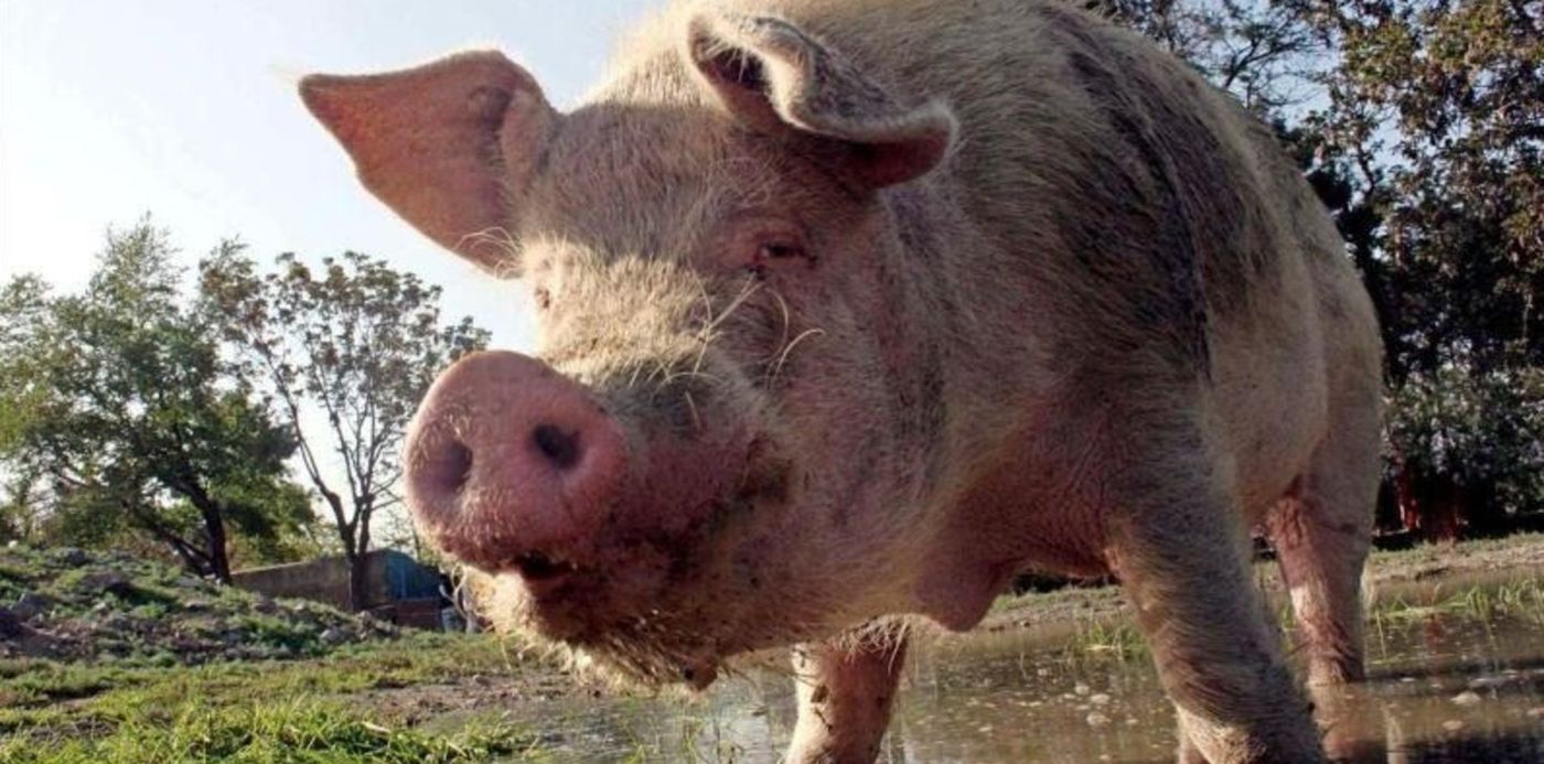 1567001257669.jpg?width=796&height=398&rotate=0&oh=449&x=2&y=47&scaleX=1&scaleY=1&ow=798&&cw=1920&ch=950