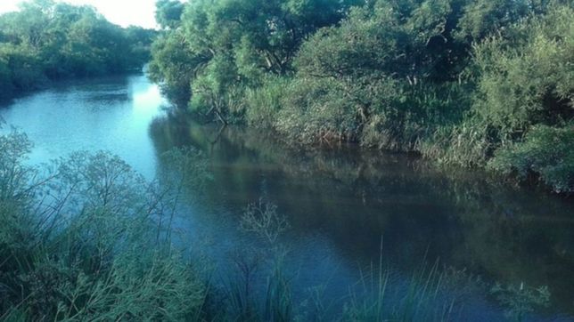 protegen del avance de las construcciones al unico arroyo no contaminado de la plata