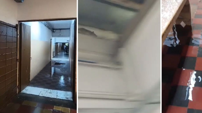 catarata en los pasillos y ratas como gatos: denuncia de alumnos de una escuela platense