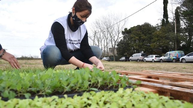 continuan con el ciclo que promueve el cultivo autogestivo de alimentos en la plata