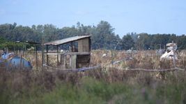 vecinos en alerta por otro presunto intento de usurpacion en la plata vecinos en alerta por otro presunto intento de usurpacion en la plata