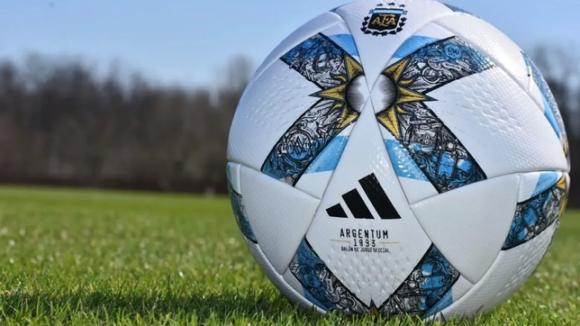 futbolistas argentinos respaldaron la candidatura a presidente de sergio massa