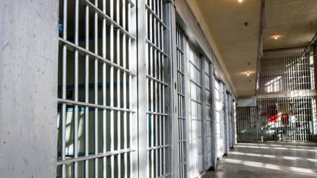 berisso y ensenada avanzan con un plan laboral para personas que recuperan su libertad