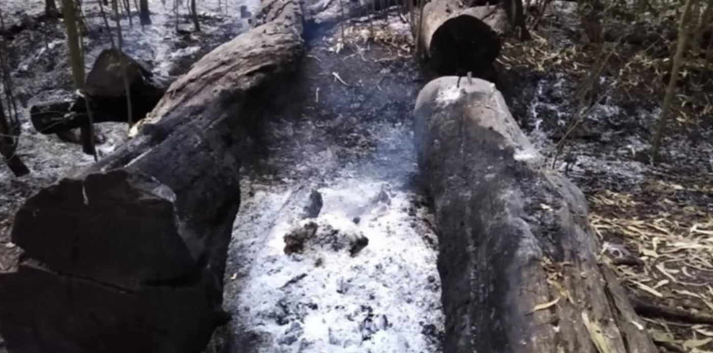 1609278211564.jpg?x=5&y=146&width=950&height=475&rotate=0&scaleX=1&scaleY=1&ow=960&oh=720&&cw=1920&ch=950