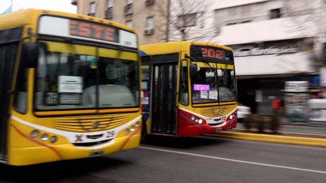 ¿que va a pasar con el paro de micros en la plata?