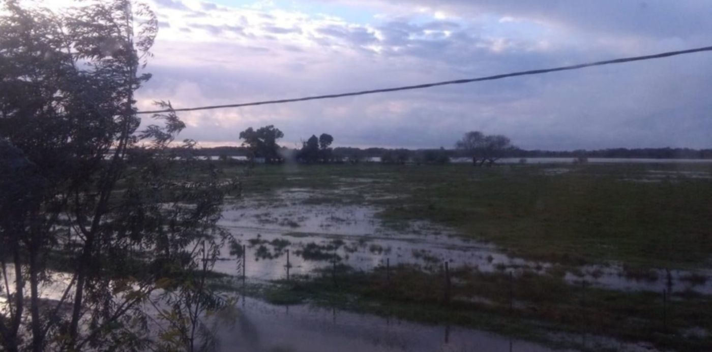 1600172533137.jpeg?x=3&y=202&width=1277&height=638&rotate=0&scaleX=1&scaleY=1&ow=1280&oh=960&&cw=1920&ch=950