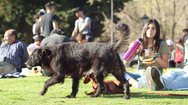 la ultima semana del ano arranca con buen tiempo pero hay lloviznas en el horizonte