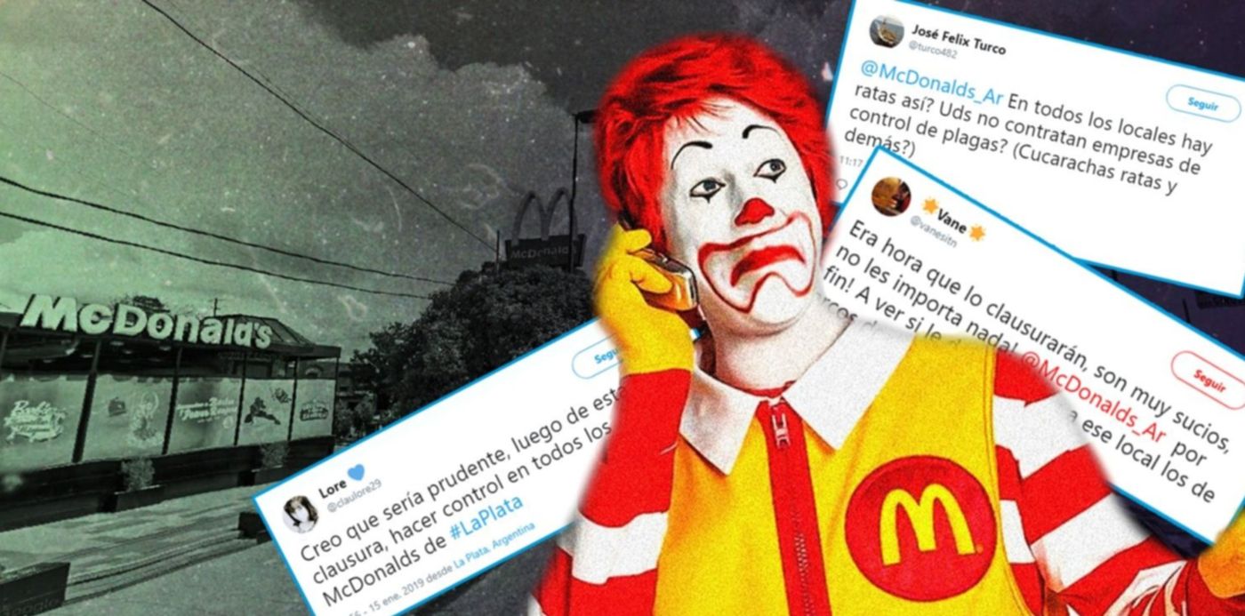 1547644717410.jpg?x=8&rotate=0&scaleX=1&ow=1500&y=0&width=1484&height=742&scaleY=1&oh=742&&cw=1920&ch=950