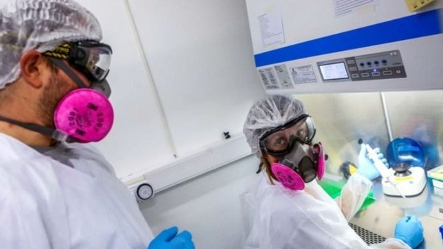 vacunas, sintomas, hongo negro y mas: el conicet despeja dudas sobre el covid-19