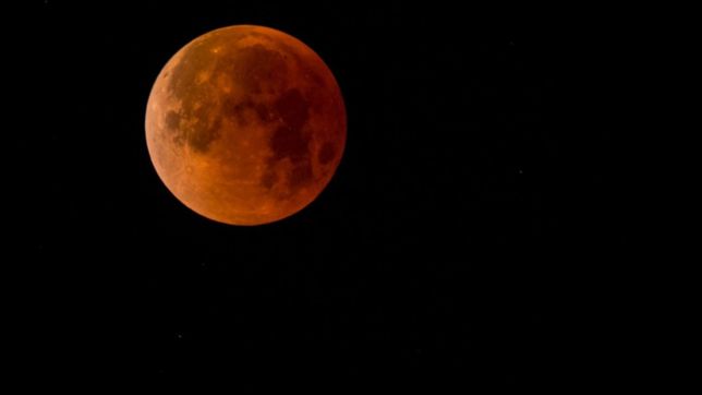 se acerca el fin de semana y esta es la agenda cultural de verano mas completa