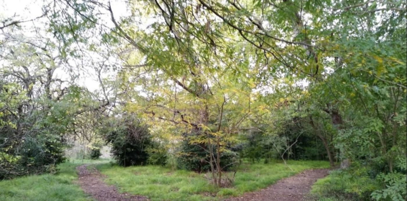 1529531344233.jpg?&cw=1920&ch=950