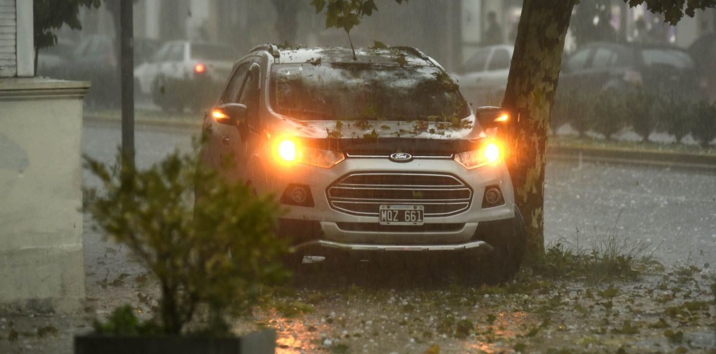 1524937552459.jpg?scaleY=1&ow=3000&oh=2240&x=188&width=2803&height=1402&scaleX=1&y=610&rotate=0&&cw=1920&ch=950