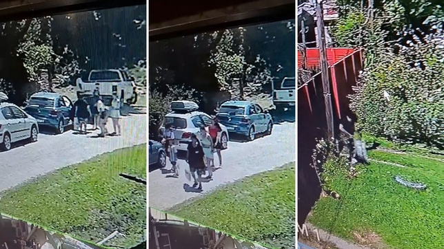 una abuela iba a un cumpleanos y antes de entrar se llevo un souvenir de la casa del vecino