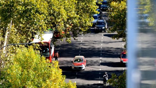 sol, cielo despejado y sin lluvias: asi va a seguir el clima en la plata