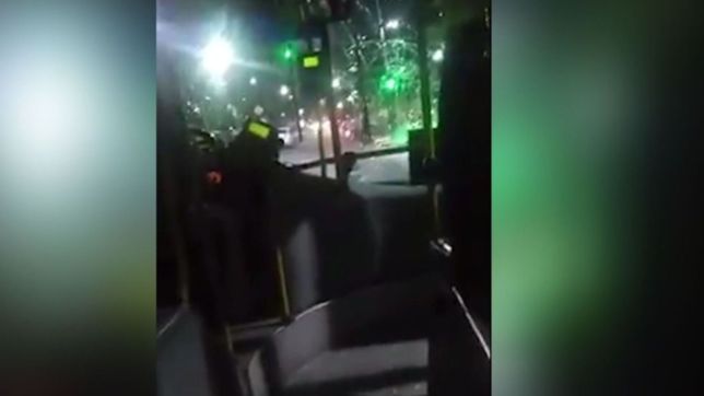 brutal ataque de un pasajero al chofer de un micro en la plata: ?abrime la puerta o no manejas mas?