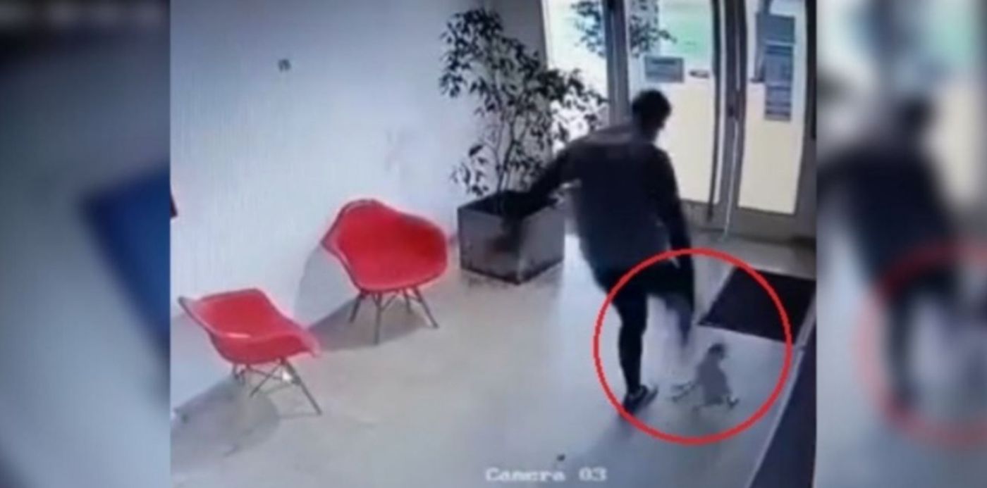 Perrita atacada a patadas La Plata