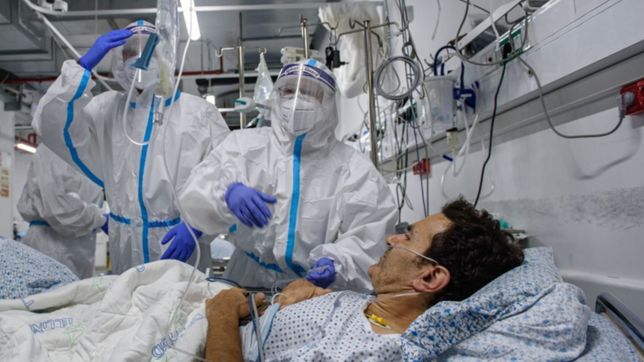 la plata, berisso y ensenada: ¿cuantas camas hay ocupadas en cada ciudad?