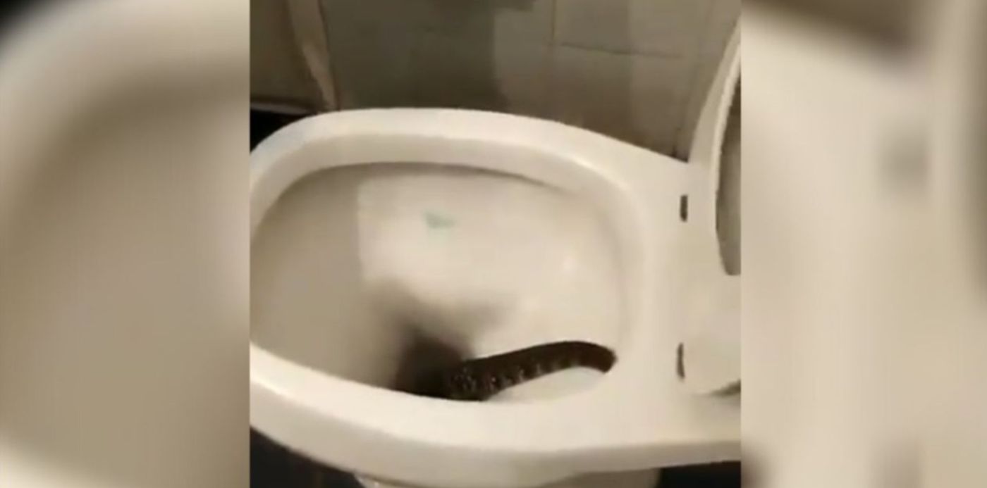 1603021451065.jpg?x=39&y=10&width=1267&height=634&rotate=0&scaleX=1&scaleY=1&ow=1350&oh=650&&cw=1920&ch=950