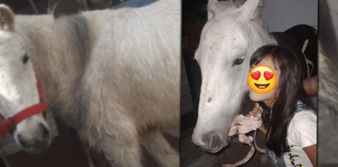 1692825482612.jpg?x=8&y=0&width=1484&height=742&rotate=0&scaleX=1&scaleY=1&ow=1500&oh=742&&cw=1920&ch=950