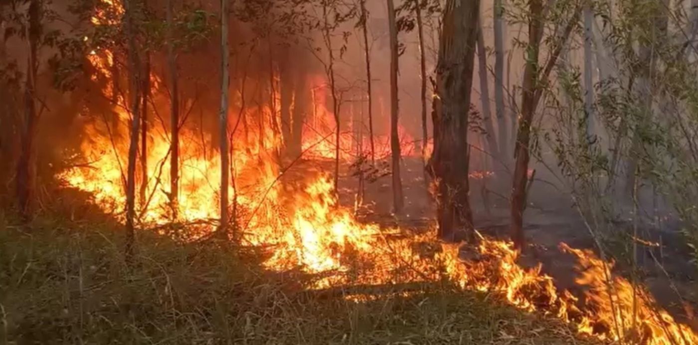 1639935070775.jpg?x=12&y=66&width=1476&height=739&rotate=0&scaleX=1&scaleY=1&ow=1500&oh=814&&cw=1920&ch=950