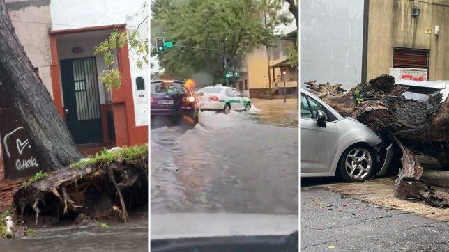 calles anegadas y arboles caidos por la tormenta en la plata