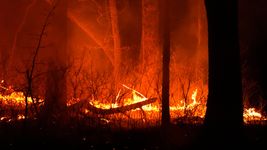 un voraz incendio en la plata alarmo a vecinos y movilizo a bomberos durante toda la noche un voraz incendio en la plata alarmo a vecinos y movilizo a bomberos durante toda la noche