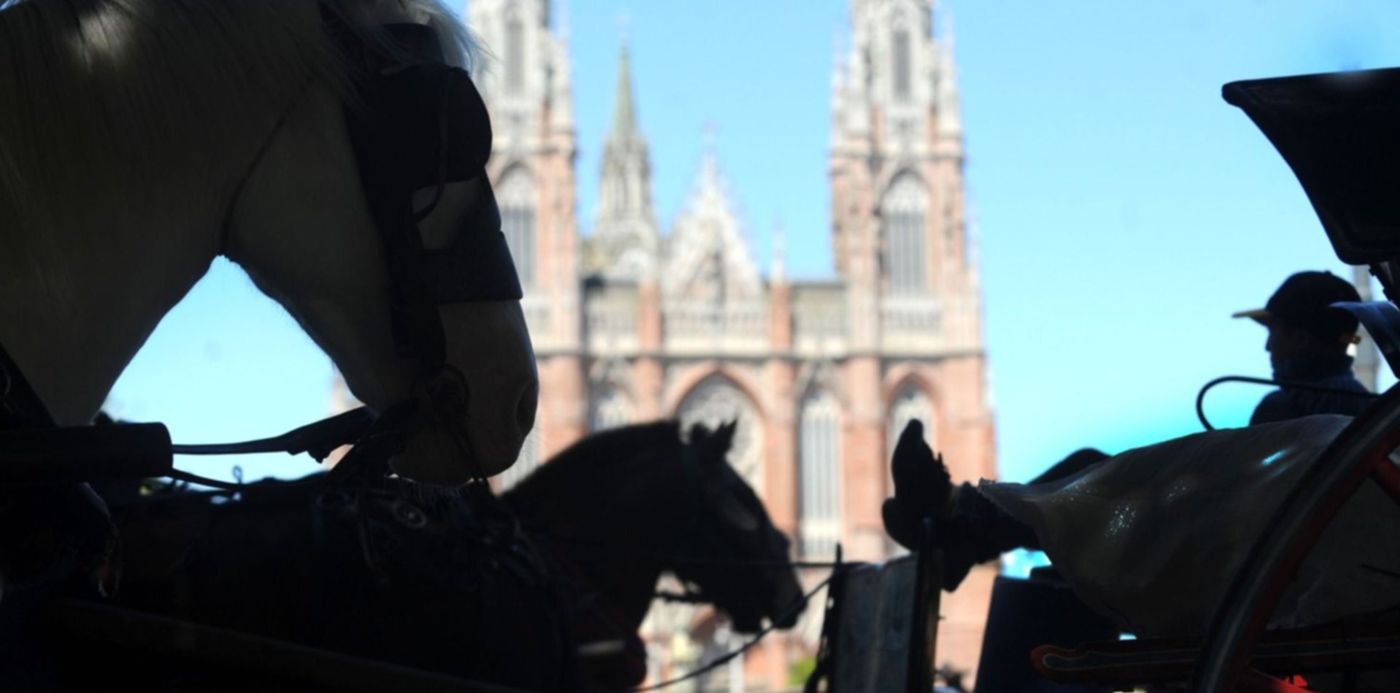 1541169447275.jpg?x=2&y=168&width=1495&rotate=0&scaleY=1&oh=943&height=748&scaleX=1&ow=1500&&cw=1920&ch=950