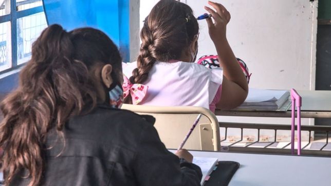 aseguran que solo 2 de cada 10 estudiantes egresan en tiempo y forma