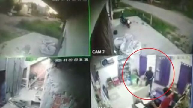 video: asi saquearon una veterinaria de la plata que abrio hace menos de un ano